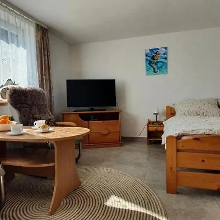 Ferienwohnung Sielanka Pod Siglanami 1 Weichsel Exterior foto